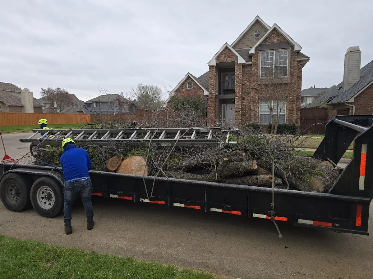 Expert Tree Fertilization with proper safety equipment in Shellman